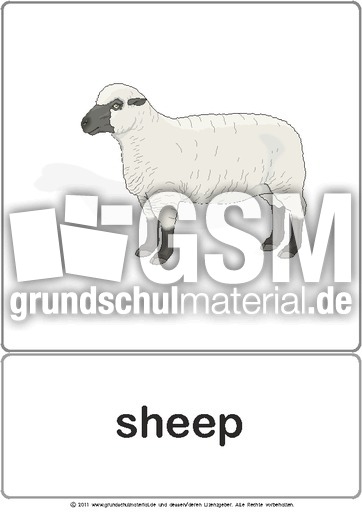 Bildkarte - sheep.pdf